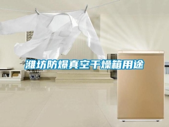 企業新聞濰坊防爆真空干燥箱用途