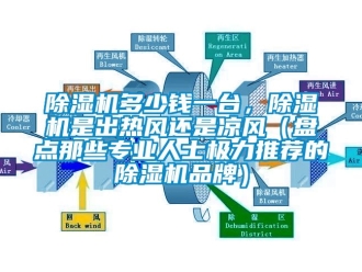 企業新聞除濕機多少錢一臺，除濕機是出熱風還是涼風（盤點那些專業人士極力推薦的除濕機品牌）