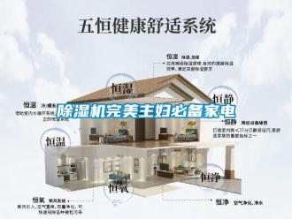 企業新聞除濕機完美主婦必備家電