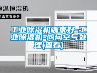 常見問題工業除濕機哪家好-工業除濕機-鴻河空氣處理(查看)