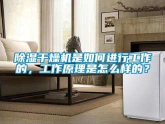 企業新聞除濕干燥機是如何進行工作的，工作原理是怎么樣的？
