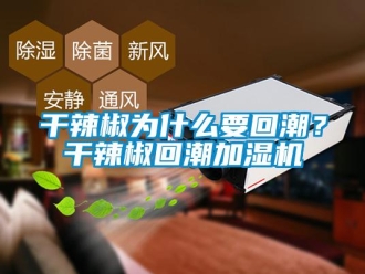 企業新聞干辣椒為什么要回潮？干辣椒回潮加濕機