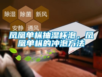 企業新聞鳳凰單樅抽濕杯泡，鳳凰單樅的沖泡方法