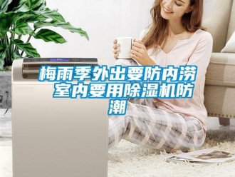 行業新聞梅雨季外出要防內澇 室內要用除濕機防潮