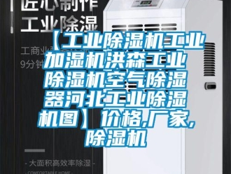 企業新聞【工業除濕機工業加濕機洪森工業除濕機空氣除濕器河北工業除濕機圖】價格,廠家,除濕機