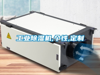 常見問題工業除濕機,個性,定制