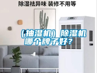 新聞資訊（抽濕機）除濕機哪個牌子好？