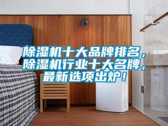 企業新聞除濕機十大品牌排名，除濕機行業十大名牌，最新選項出爐！