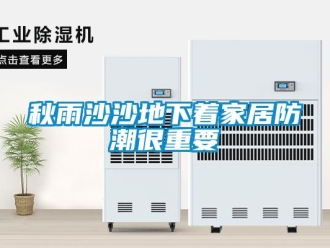 行業新聞秋雨沙沙地下著家居防潮很重要