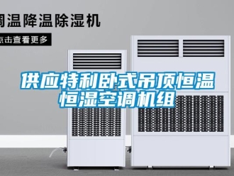 知識百科供應特利臥式吊頂恒溫恒濕空調機組