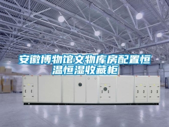 常見問題安徽博物館文物庫房配置恒溫恒濕收藏柜