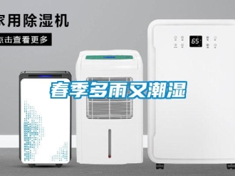 企業新聞春季多雨又潮濕
