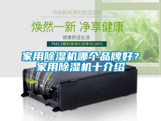 企業新聞家用除濕機哪個品牌好？家用除濕機十介紹