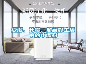 知識百科受潮、長霉，儲藏好生活中的小調料
