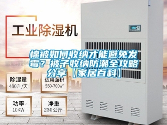 常見問題棉被如何收納才能避免發霉？被子收納防潮全攻略分享【家居百科】