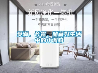 知識百科受潮、長霉，儲藏好生活中的小調料