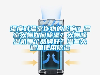 企業新聞濕度對溫室作物的影響？溫室大棚如何除濕？大棚除濕機哪個品牌好？溫室大棚里使用除濕