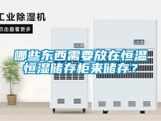 知識百科哪些東西需要放在恒溫恒濕儲存柜來儲存？