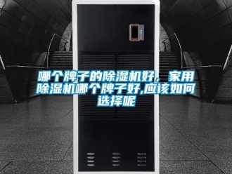 常見問題哪個牌子的除濕機好，家用除濕機哪個牌子好,應該如何選擇呢