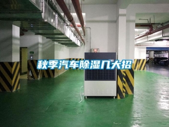 行業新聞秋季汽車除濕幾大招