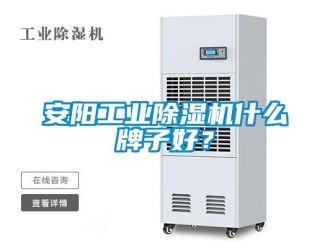 常見問題安陽工業除濕機什么牌子好？