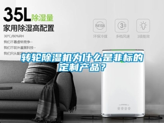 常見問題轉輪除濕機為什么是非標的定制產品？
