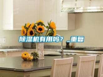 行業新聞除濕機有用嗎？_重復