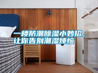 知識百科一樓防潮除濕小妙招，讓你告別潮濕煩惱