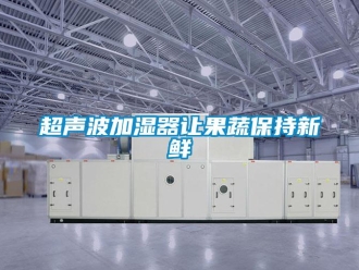 企業新聞超聲波加濕器讓果蔬保持新鮮