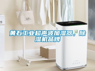 常見問題黃石工業超聲波加濕器，除濕機品牌