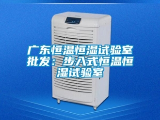 知識百科廣東恒溫恒濕試驗室批發：步入式恒溫恒濕試驗室