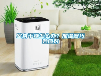 常見問題室內干燥怎么辦？加濕器巧妙應對