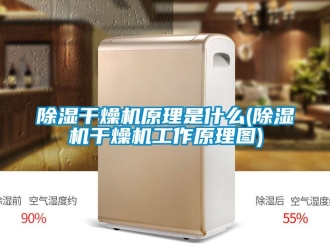 企業新聞除濕干燥機原理是什么(除濕機干燥機工作原理圖)