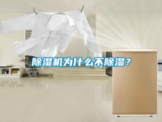 企業新聞除濕機為什么不除濕？