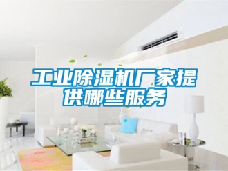 企業新聞工業除濕機廠家提供哪些服務
