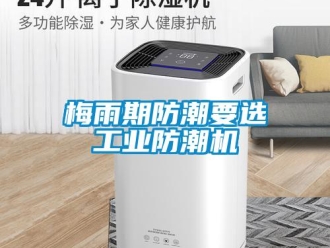 行業新聞梅雨期防潮要選工業防潮機