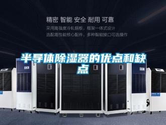 企業新聞半導體除濕器的優點和缺點