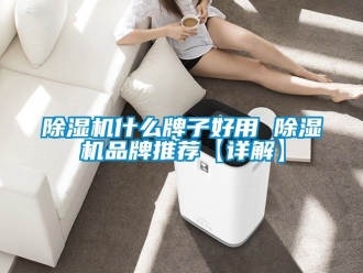 企業新聞除濕機什么牌子好用 除濕機品牌推薦【詳解】