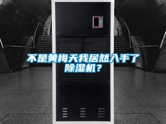 企業新聞不是黃梅天我居然入手了除濕機？