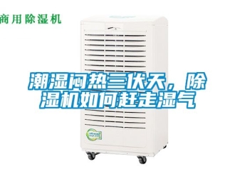 企業新聞潮濕悶熱三伏天，除濕機如何趕走濕氣