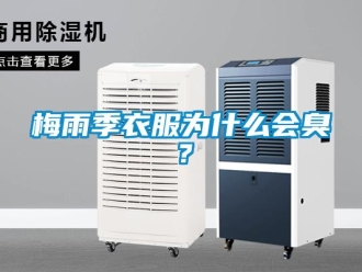 行業新聞梅雨季衣服為什么會臭？