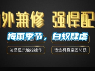 行業新聞梅雨季節，白蟻肆虐