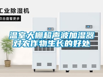 知識百科溫室大棚超聲波加濕器對農作物生長的好處