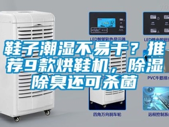 行業新聞鞋子潮濕不易干？推薦9款烘鞋機，除濕除臭還可殺菌