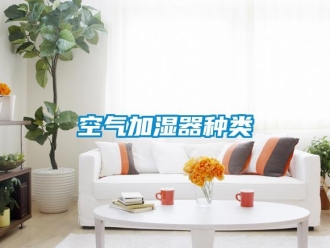 行業新聞空氣加濕器種類
