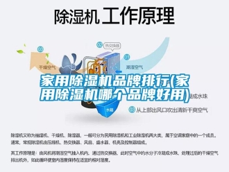 企業新聞家用除濕機品牌排行(家用除濕機哪個品牌好用)
