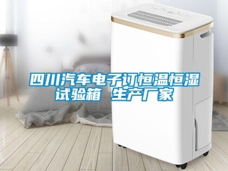 知識百科四川汽車電子訂恒溫恒濕試驗箱 生產廠家