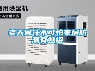 行業新聞老天冒汗不可怕家居防潮有妙招
