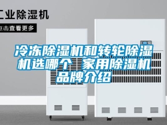 常見問題冷凍除濕機和轉輪除濕機選哪個 家用除濕機品牌介紹