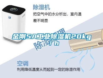 行業新聞金剛5A工業除濕機20kg／h
